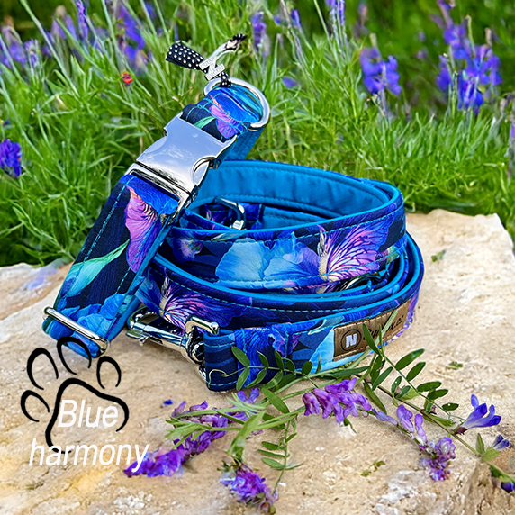 blue harmony_1